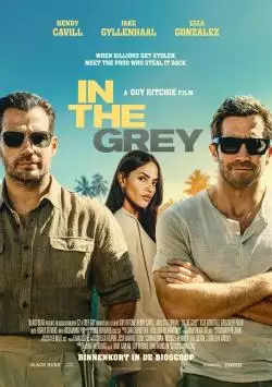 IntheGrey_134224845164053412_big-cine_deskt.webp